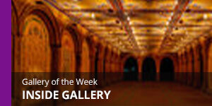 Gallery of the week
